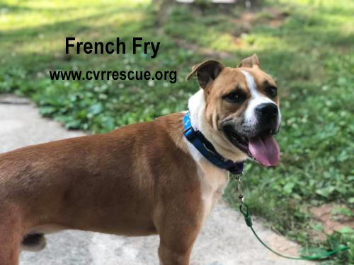 French Fry